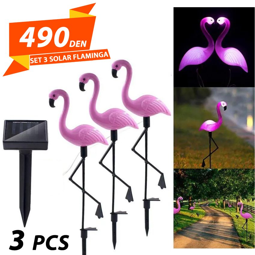 Set 3 Solar Flaminga
