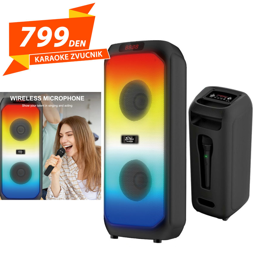 Karaoke Zvucnik 2x4"
