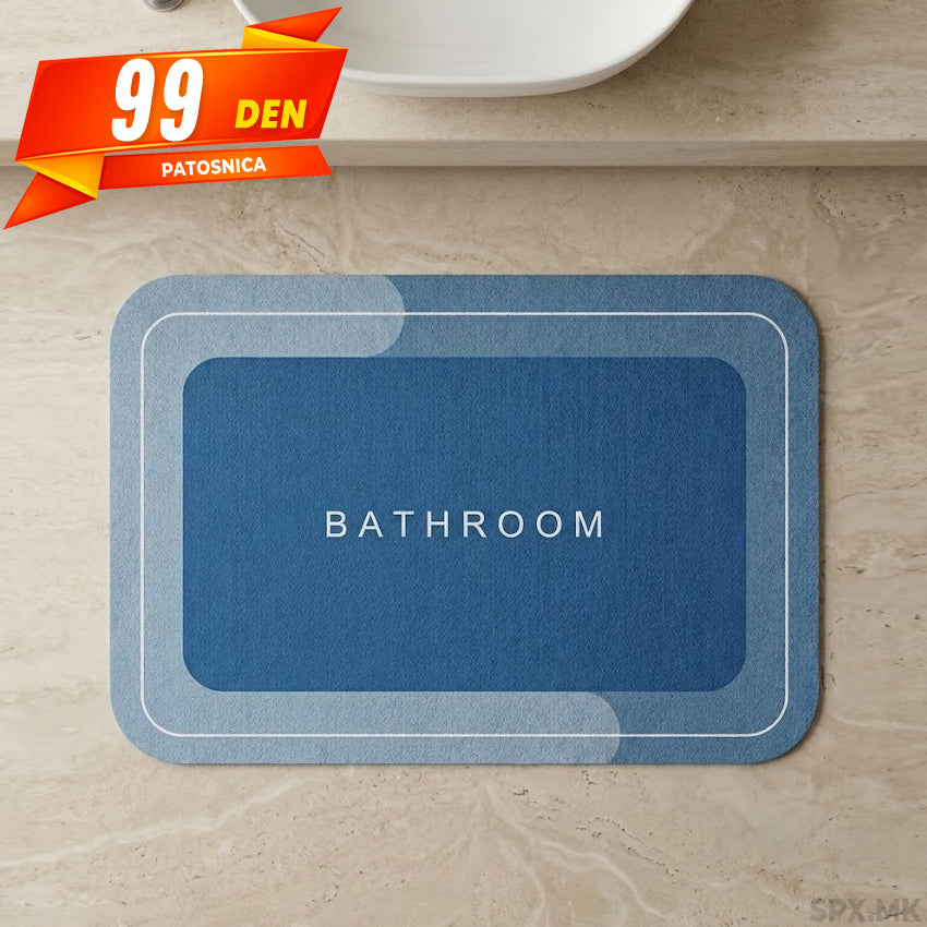 Apsorbiracka Patosnica