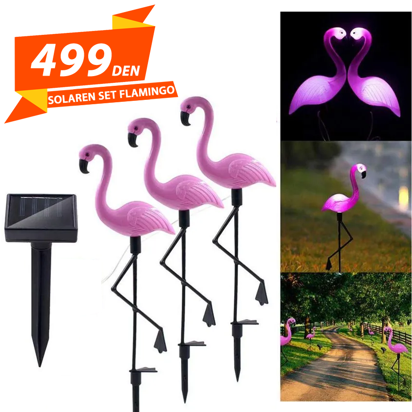 Solaren Set Flamingo