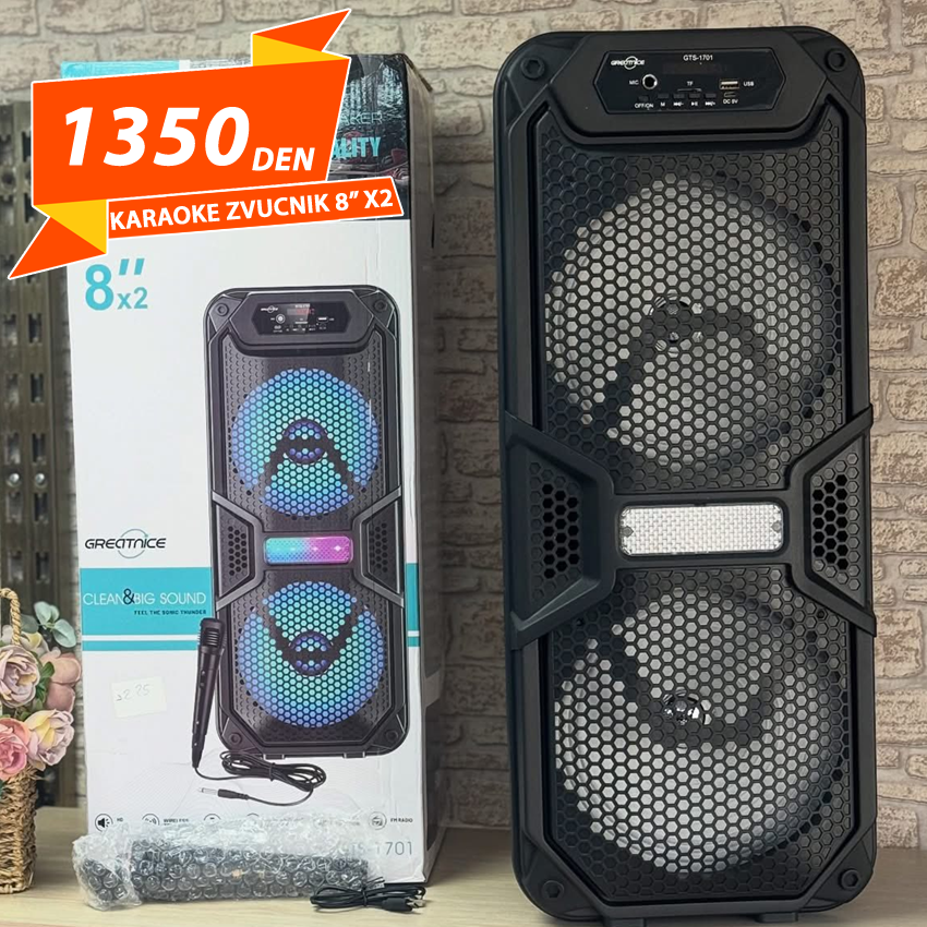 Karaoke Zvucnik 8" x2