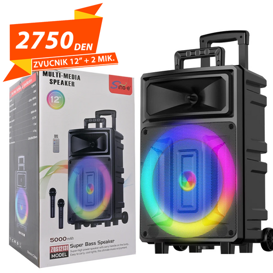 Karaoke Zvucnik 12" inch + 2 Bezicni Mikrofoni