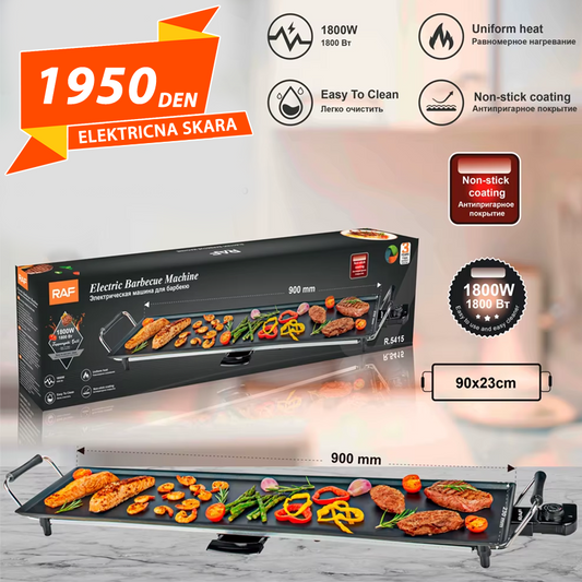 RAF Elektricna Skara