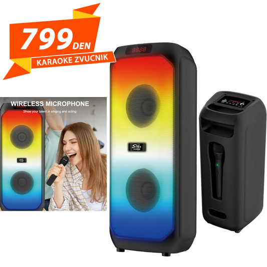Karaoke Zvucnik 2x4"