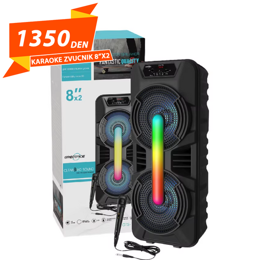 Karaoke Zvucnik 8"x2