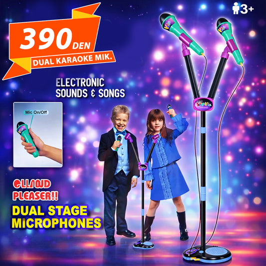 Dual Karaoke Mikrofon