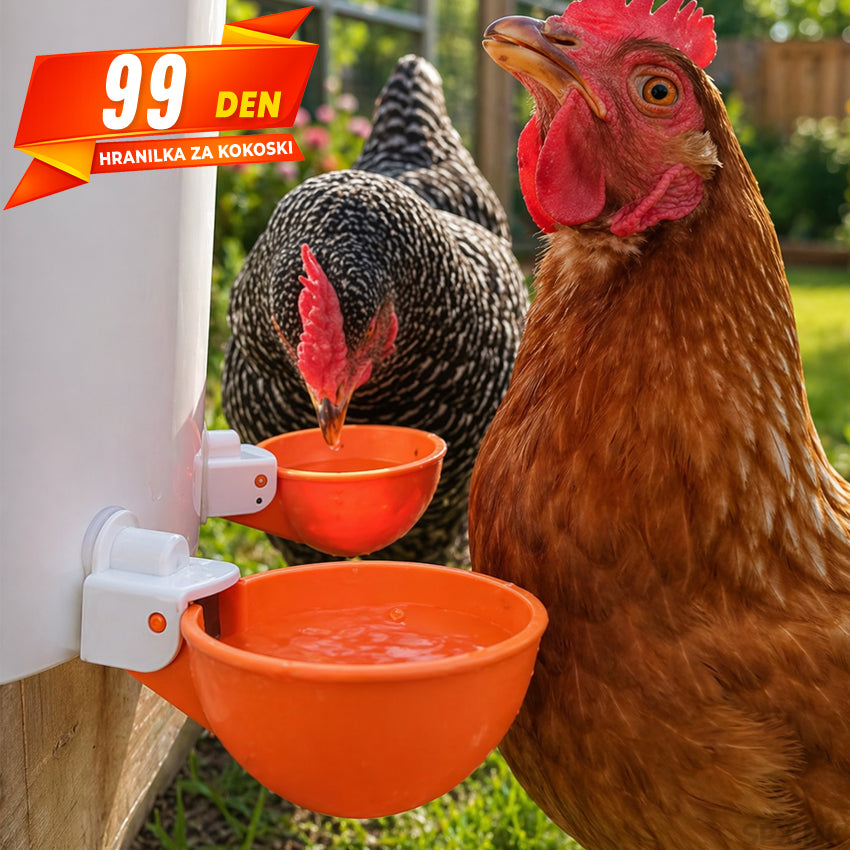 Hranilka za Kokoski